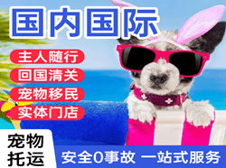 赣州黄金机场快运国际宠物托运 【国